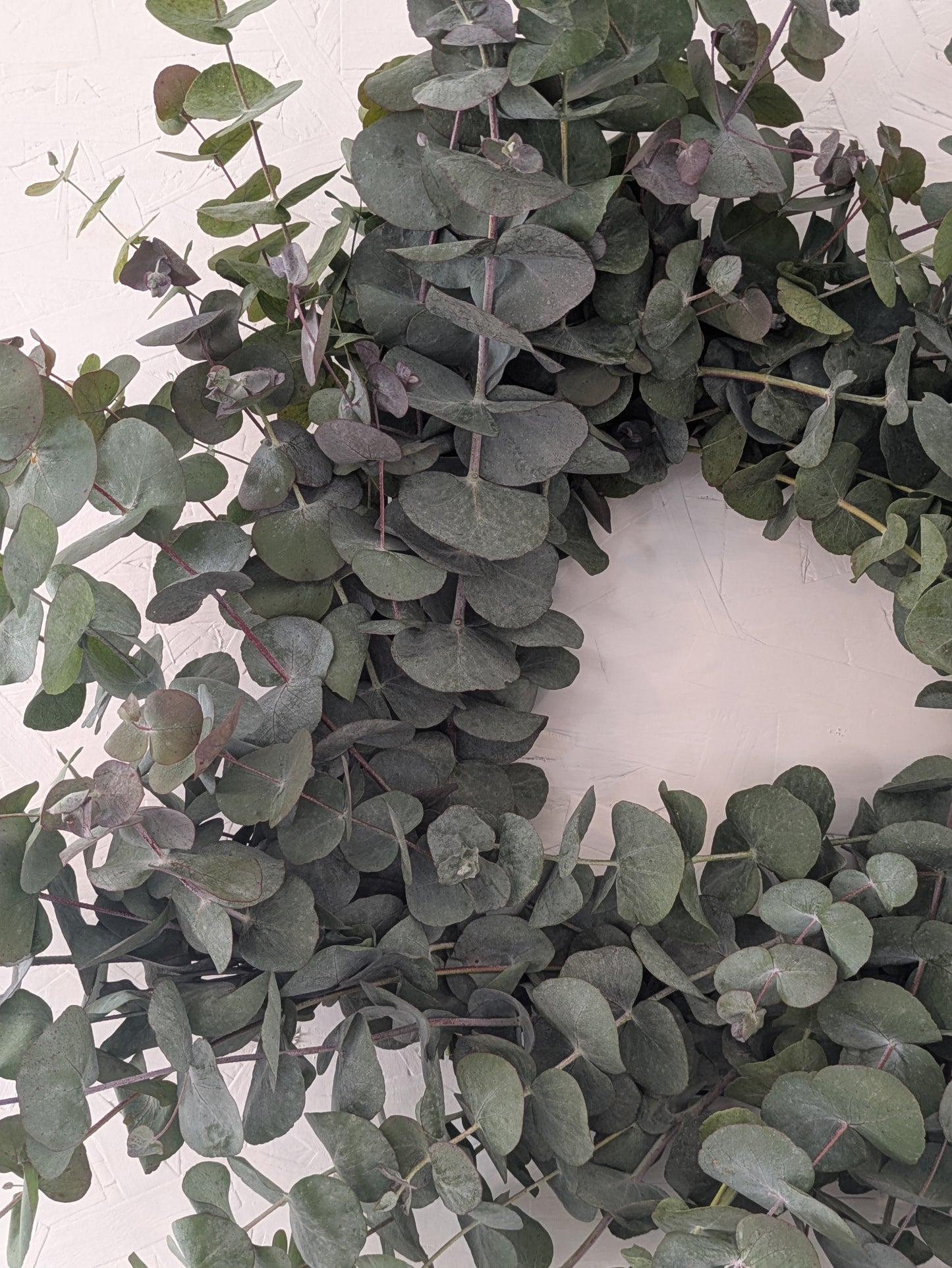 Eucalyptus Wreath
