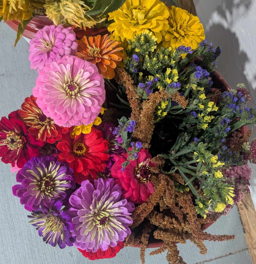 Bucket of Blooms - PRE-ORDER