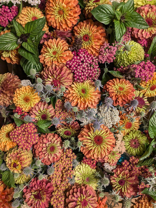 Bouquet Subscription - 2026