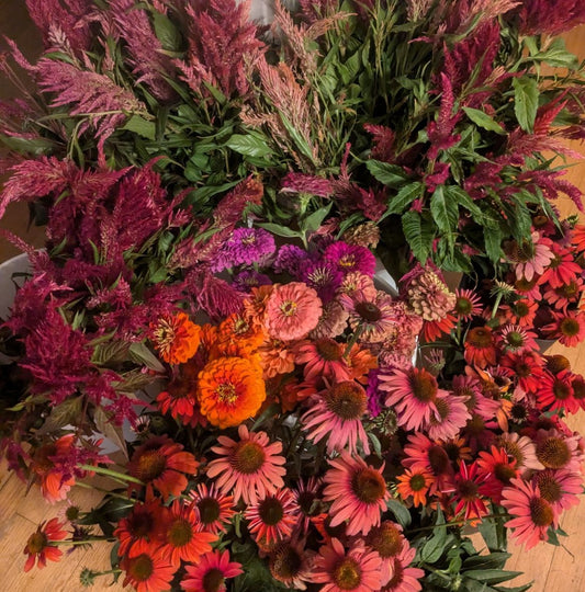 Bucket of Blooms - PRE-ORDER