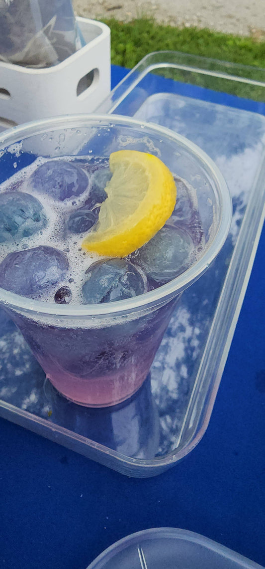 Tea n' More - Magic Blue Butterfly Tea - Cold Brew Tea