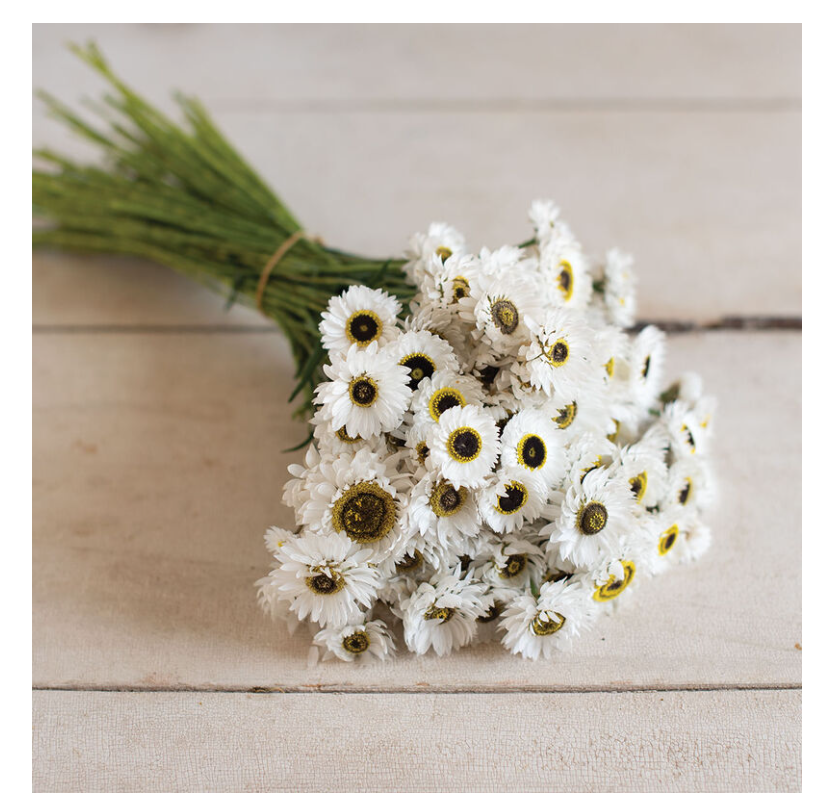 3" Flower