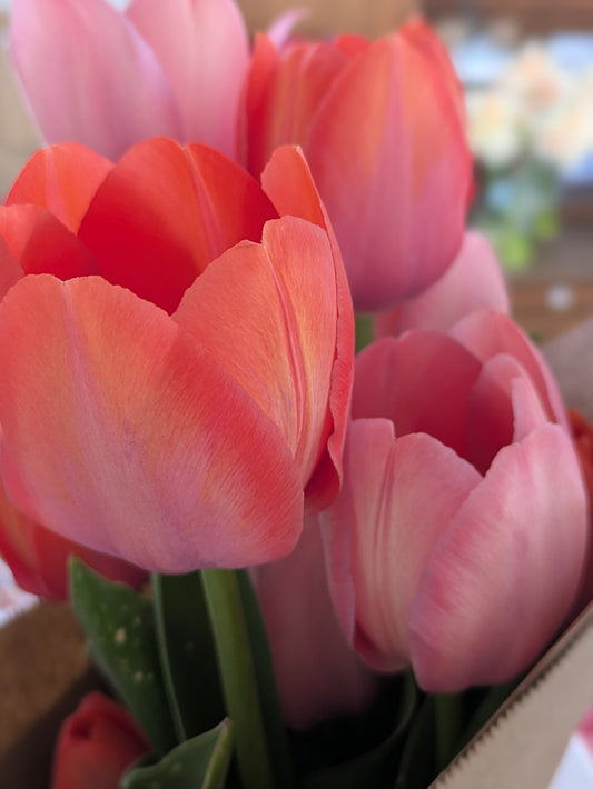 Petals & Pour - Mother's Day Workshop on the Farm