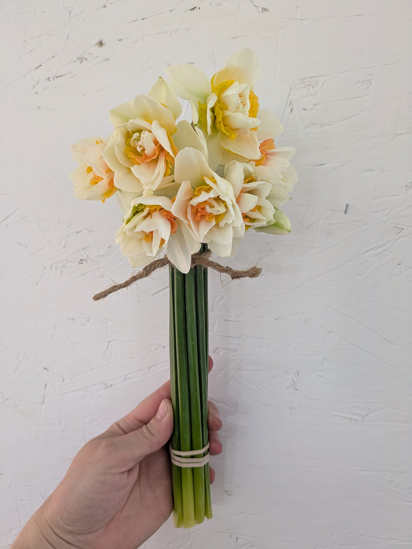 Narcissus Bunch