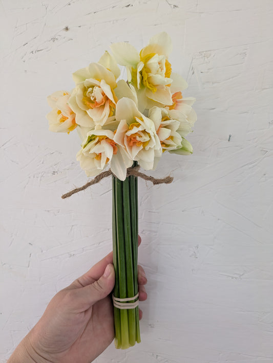 Narcissus Bunch