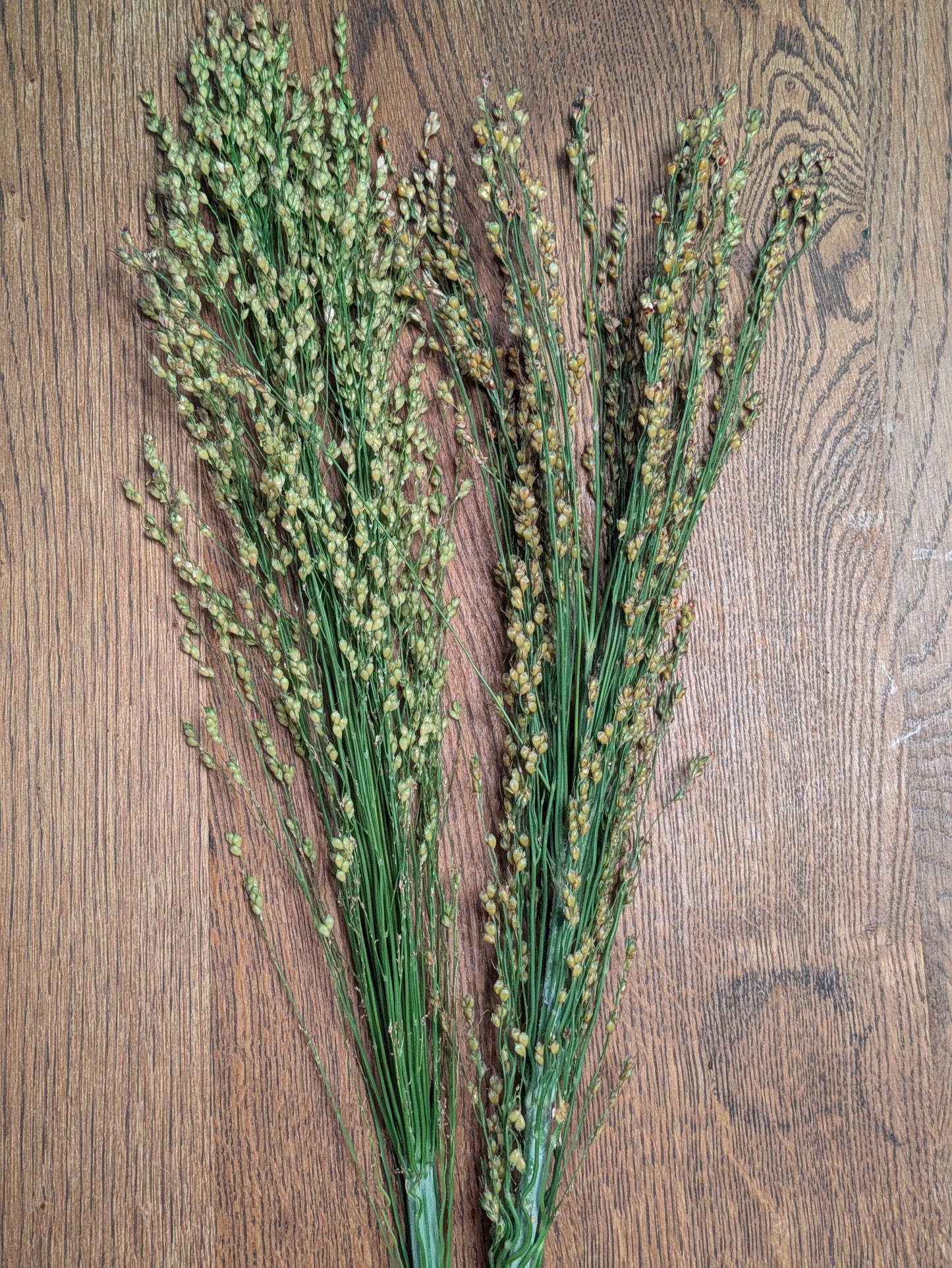 Brooms & Blooms Workshop