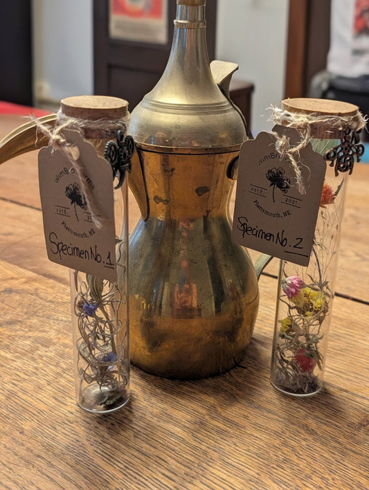Botanical Curio