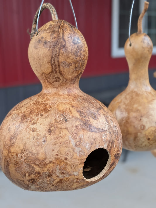 Birdhouse Gourd