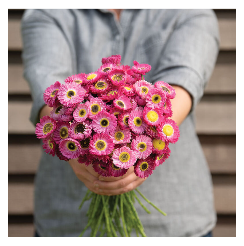 3" Flower