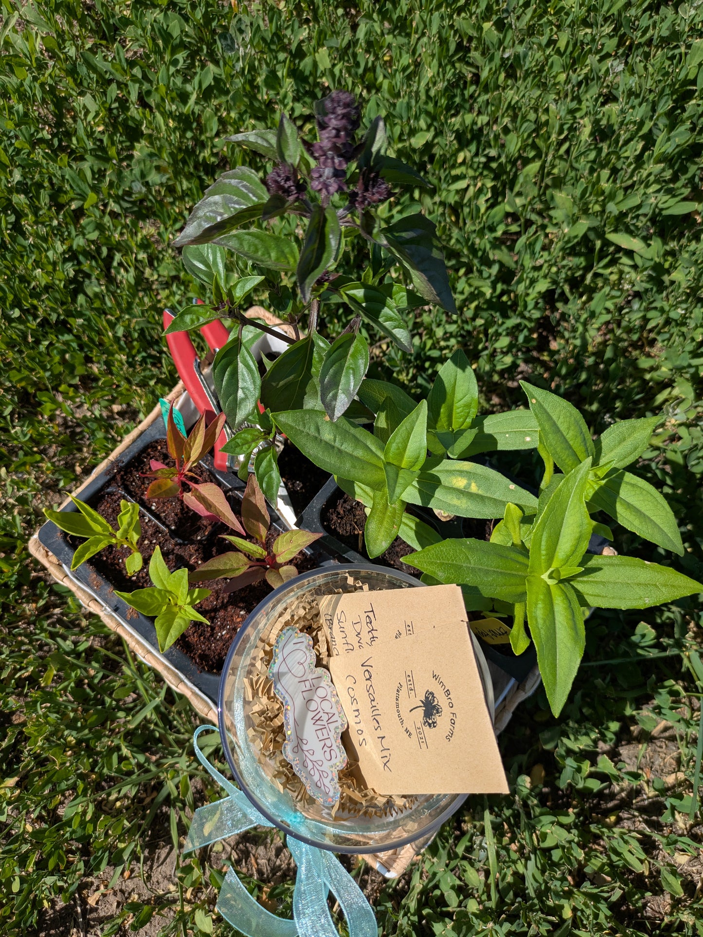 Grow Your Own Bouquet Gift Set