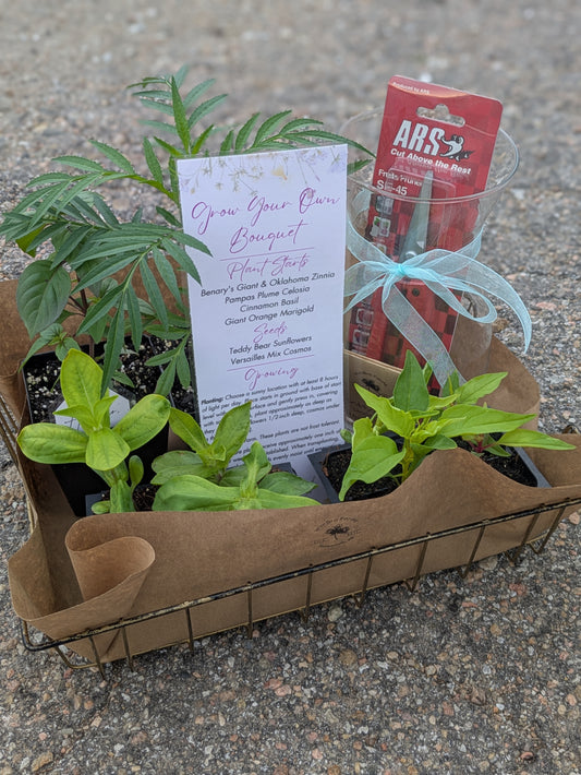 Grow Your Own Bouquet Gift Set